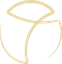 Consejo Mexicano de Cirugía Plástica